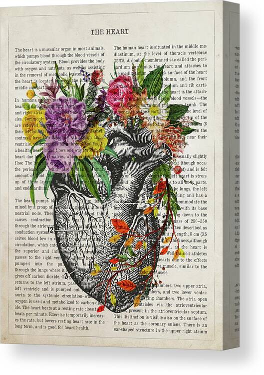 Heart Canvas Print featuring the digital art Heart Flower Anatomy Print, Medical Poster, Cardiologist Gift idea, Cardiology Decor, Medical School by Aged Pixel