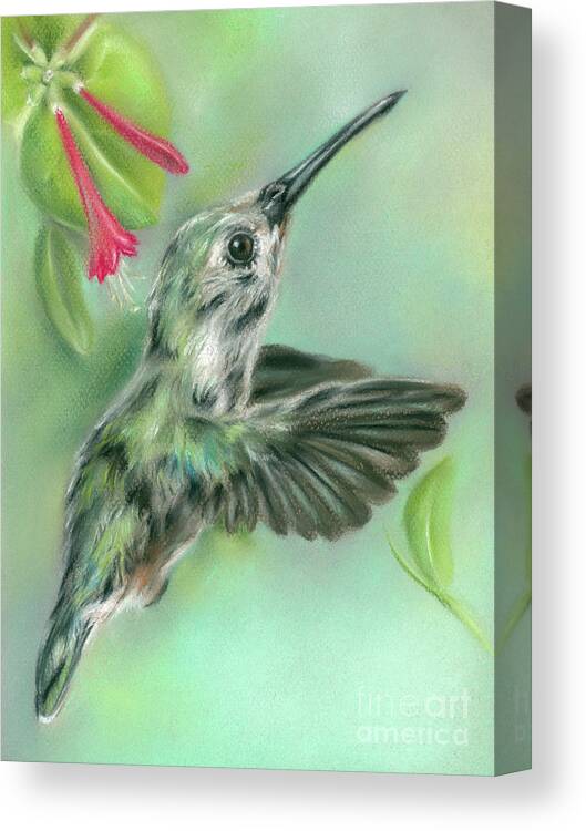 Bird Canvas Print featuring the painting Hummingbird in Flight Near Honeysuckle by MM Anderson