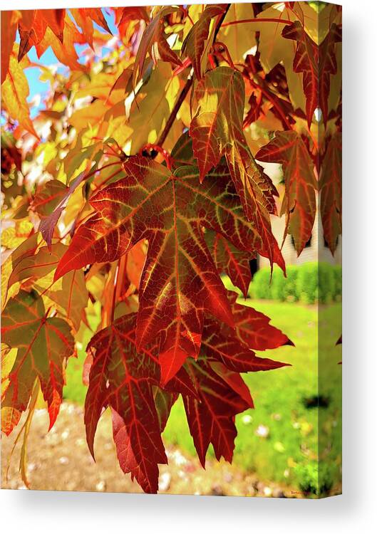 Leaves Canvas Print featuring the photograph It Is Time by Roberta Byram