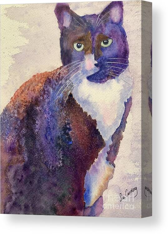 Tuxedo Canvas Print featuring the painting Kaylee by Sue Carmony