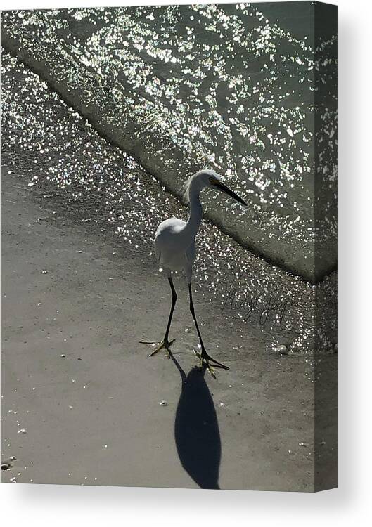 Bird Canvas Print featuring the photograph La pose by Medge Jaspan