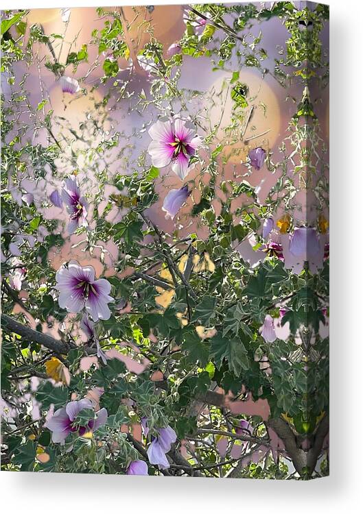 Lavender Purple Green Yellow Ivory Canvas Print featuring the digital art Lavender Hibiscus with bokeh background by Kathleen Boyles