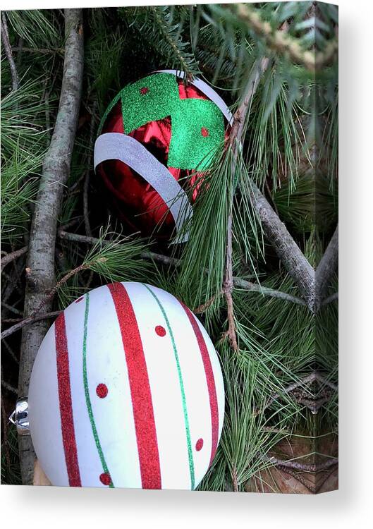Nature Canvas Print featuring the photograph Leafy Ornaments by Sue Morris