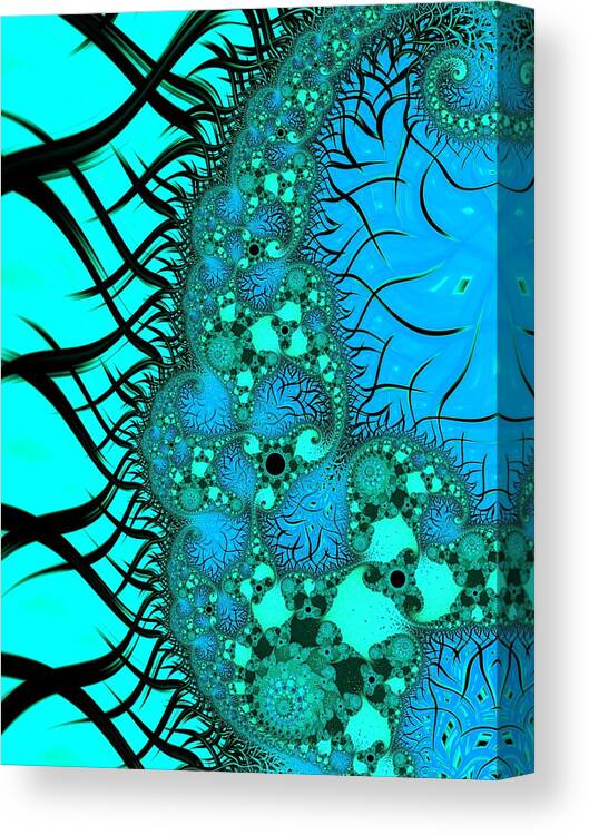 Fractal Canvas Print featuring the digital art Let it Go #2 by Mary Ann Benoit