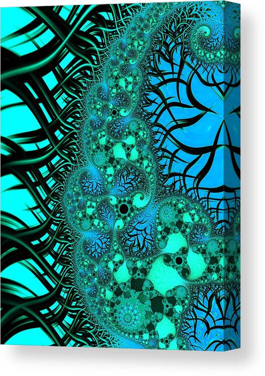 Fractal Canvas Print featuring the digital art Let it Go by Mary Ann Benoit