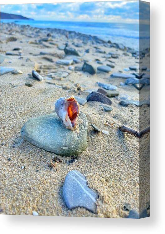 Bay Canvas Print featuring the photograph Life of a Shell by Maya Mey Aroyo
