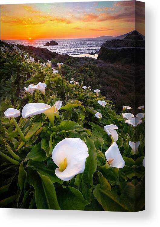  Canvas Print featuring the photograph Lili Valley by Louis Raphael