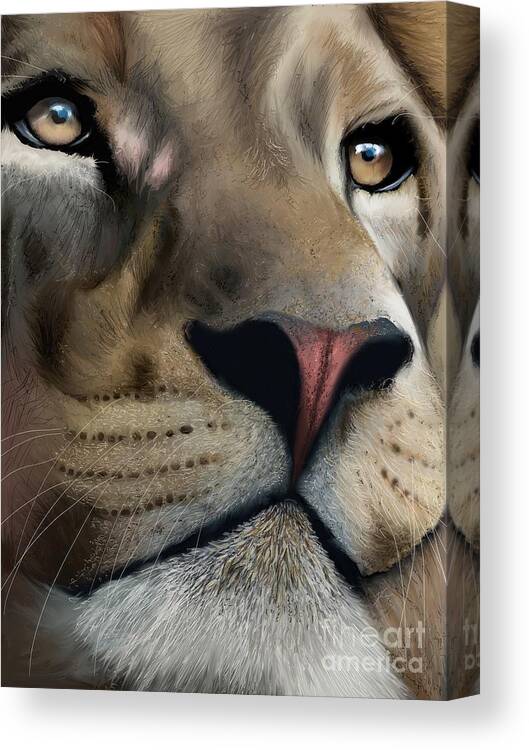 Animal Canvas Print featuring the digital art Lion study 1 by Darren Cannell