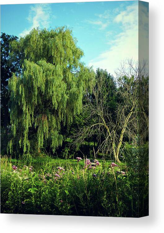 Lovely View Canvas Print featuring the photograph Lovely View by Cyryn Fyrcyd