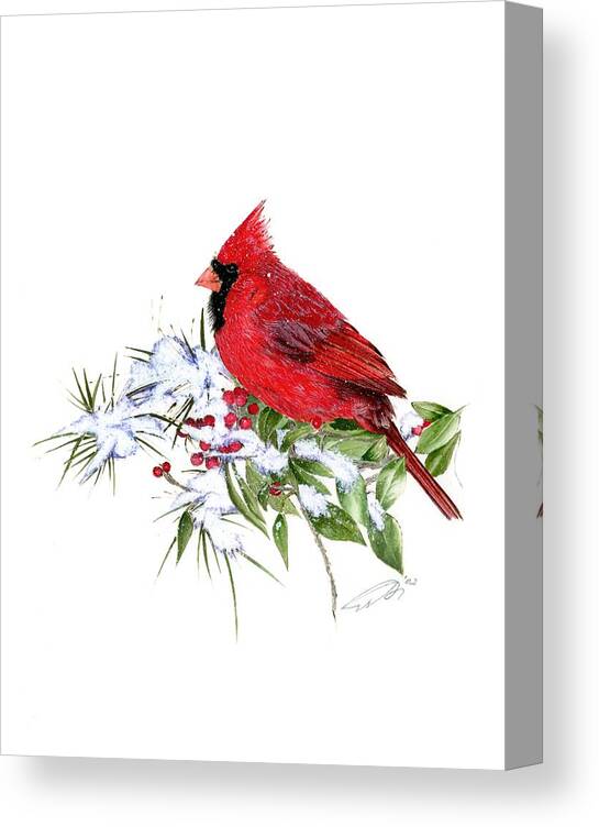 Birds In Winer Canvas Print featuring the mixed media Male Cardinal by Judi Hendricks