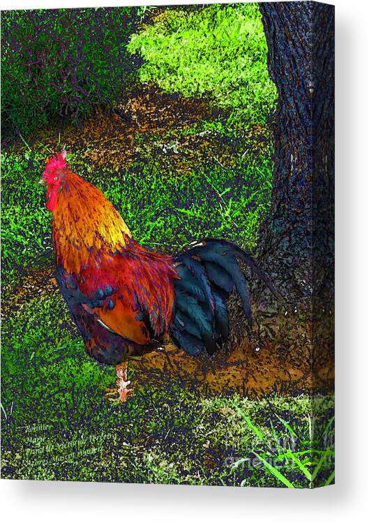 The Mascot Canvas Print featuring the photograph Mascot Rooster Azores by Bonnie Marie