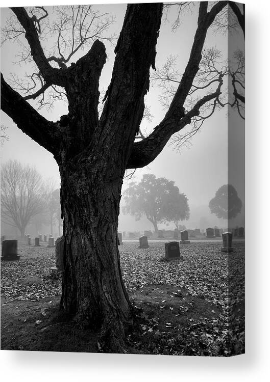 Arbor Canvas Print featuring the photograph Mayflower Hill V BW by David Gordon