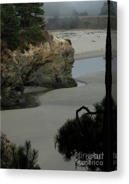 Coastline Canvas Print featuring the photograph MendocinoQuiet by Mary Kobet