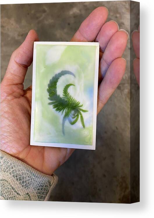 Fern Canvas Print featuring the mixed media Mini Scorpion Fern by Dorian Hill