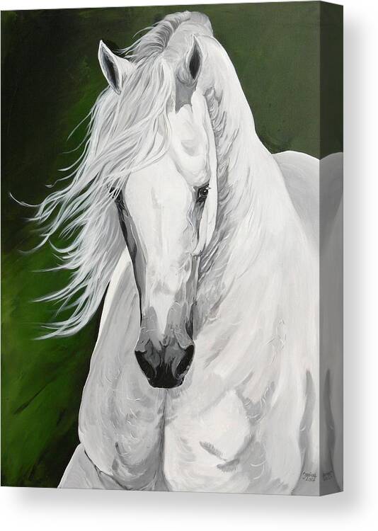 Horse Original Painting Canvas Print featuring the painting Misteriso by Janina Suuronen