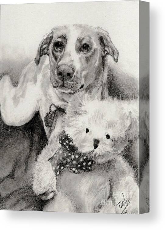 Dog Canvas Print featuring the drawing Mixed Breed with Teddy Bear by Terri Mills