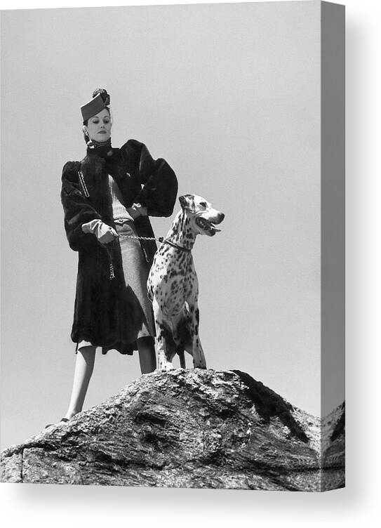 Dog Canvas Print featuring the photograph Model With Dalmation by Toni Frissell