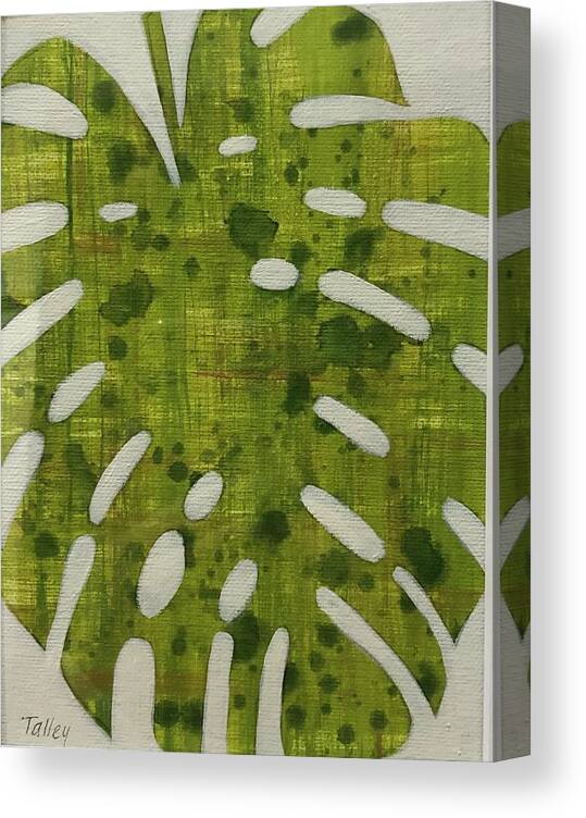 Monstera Green Texture Drop Drip Light Abstract Textile Texture Swiss Cheese Plant Tropical Plant Abstract Blooming Drips Palm Canvas Print featuring the painting Monstera Light by Pam Talley