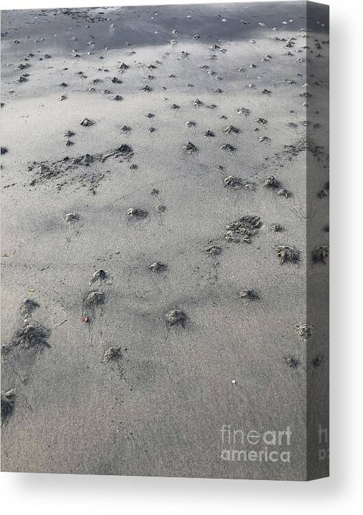 Sand Canvas Print featuring the photograph Moonwalk by Diana Rajala