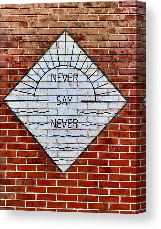 Never Say Never Canvas Print featuring the photograph Never Say Never by Lisa Soots