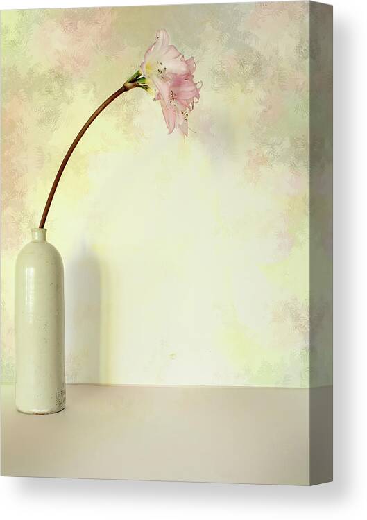 Flower Canvas Print featuring the photograph Pink Easter Lily by Elaine Teague
