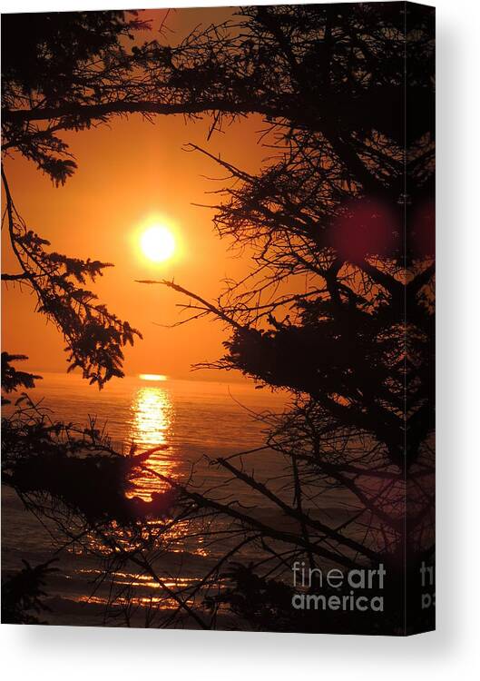 Ocean Canvas Print featuring the photograph Ocean Sunset by Julie Rauscher
