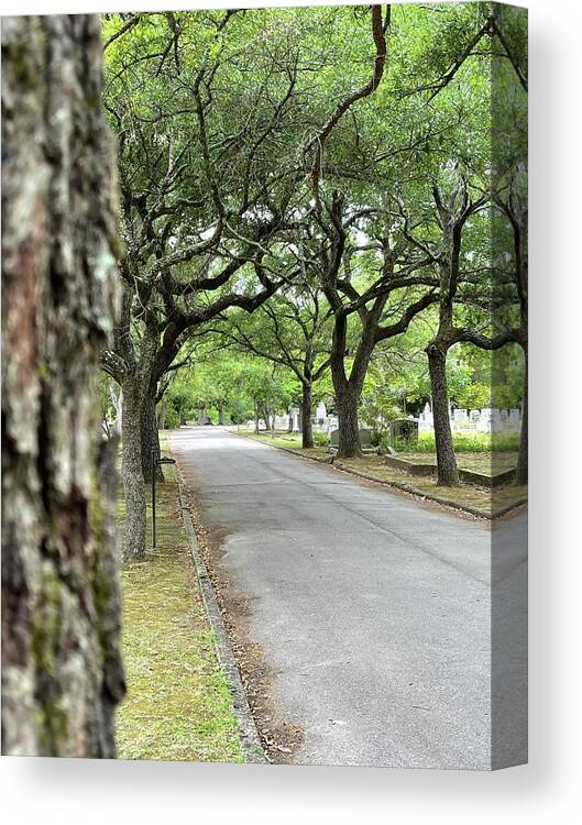 Photography Canvas Print featuring the photograph Old Quaker Cemetery by Matthew Seufer