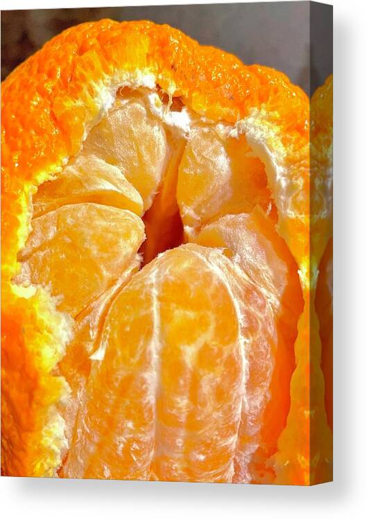 Orange Canvas Print featuring the photograph Orange in Orange by Tanya White