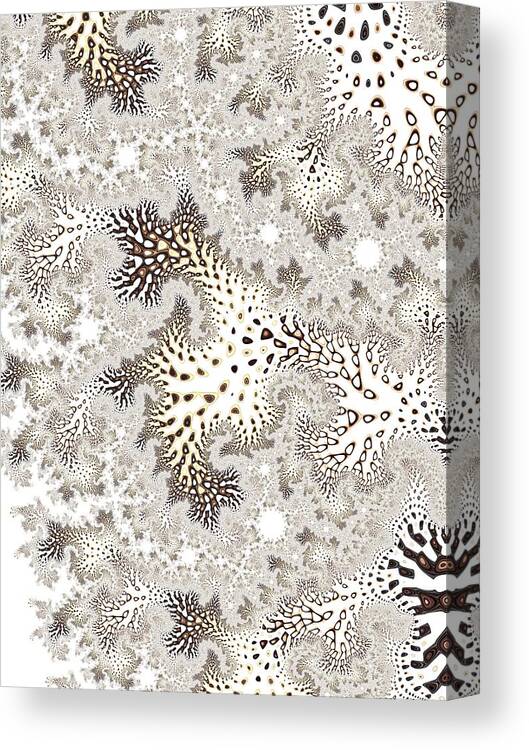 Fractal Canvas Print featuring the digital art Owl Feather #2 by Mary Ann Benoit