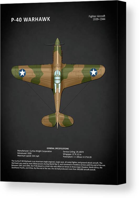 Curtiss P-40 Warhawk Canvas Print featuring the photograph P-40 Warhawk by Mark Rogan