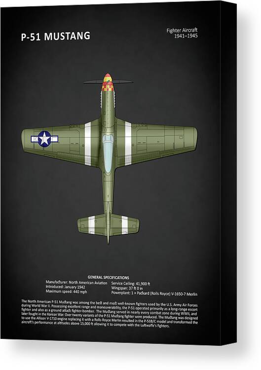 P51 Mustang Canvas Print featuring the photograph P-51 Mustang by Mark Rogan