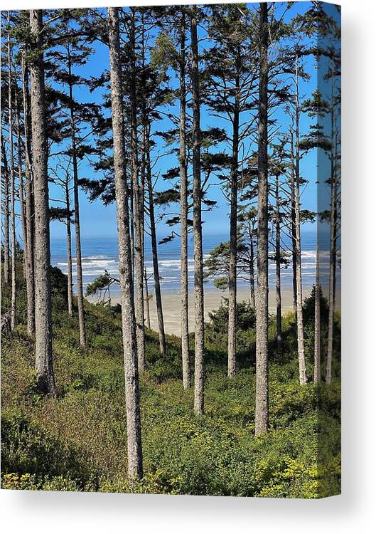 Beach Canvas Print featuring the photograph Pacific Ocean at Seabrook 2 by Jerry Abbott