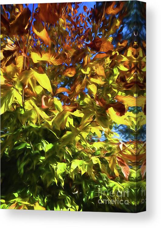 Fall Colors Canvas Print featuring the photograph Painted Leaves by AnnMarie Parson-McNamara