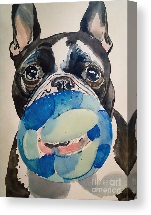Dog Canvas Print featuring the painting Painting Bostonterriers dog pet illustration anim by N Akkash