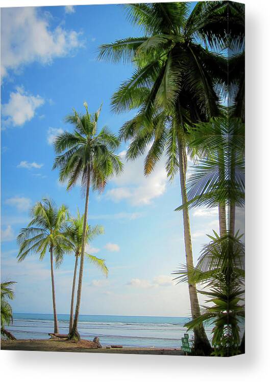 Tropical Canvas Print featuring the photograph Palm Trees And Sunshine At The Beach by Nicklas Gustafsson