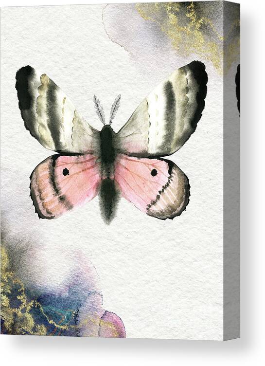 Pandora Moth Canvas Print featuring the painting Pandora Moth by Garden Of Delights