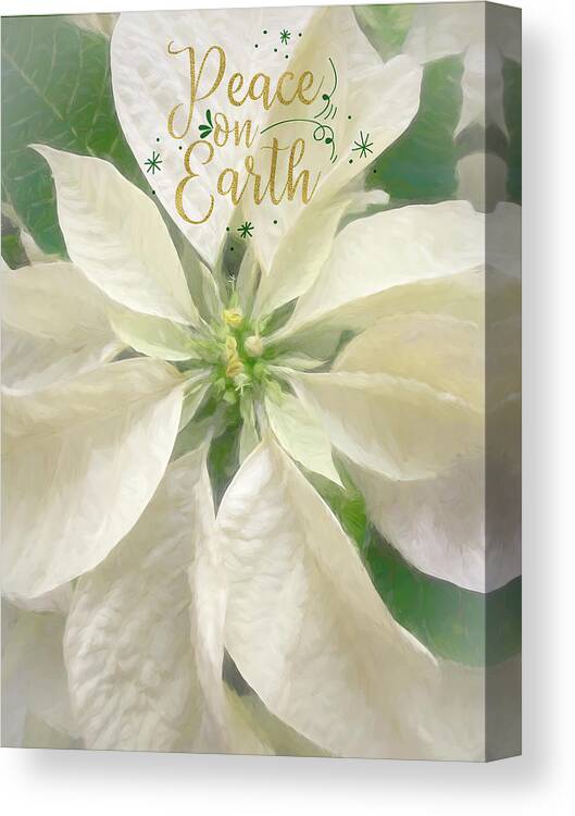 Poinsettia Canvas Print featuring the photograph Peace on Earth - White Poinsettia by Teresa Wilson