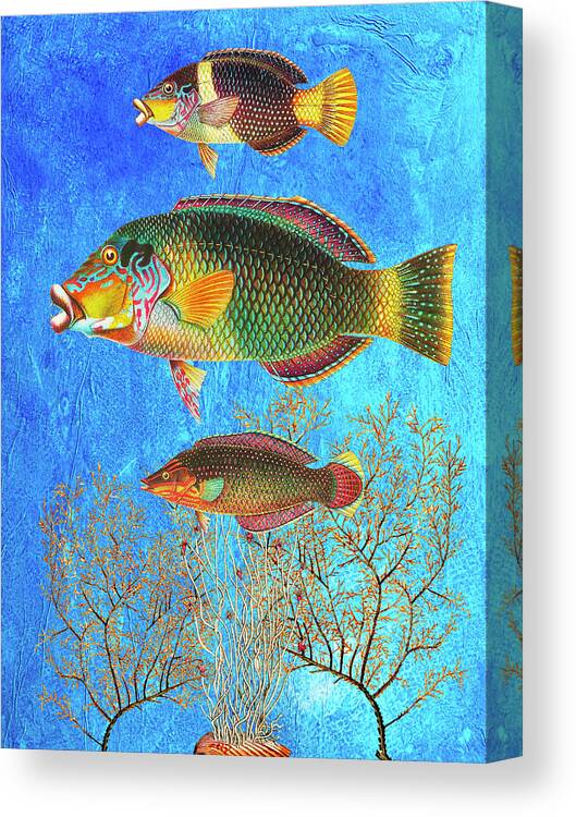 Tropical Fish Canvas Print featuring the mixed media Portrait of Three Fish by Lorena Cassady