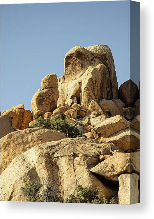 Landscapes Canvas Print featuring the photograph Praying Monk by Claude Dalley