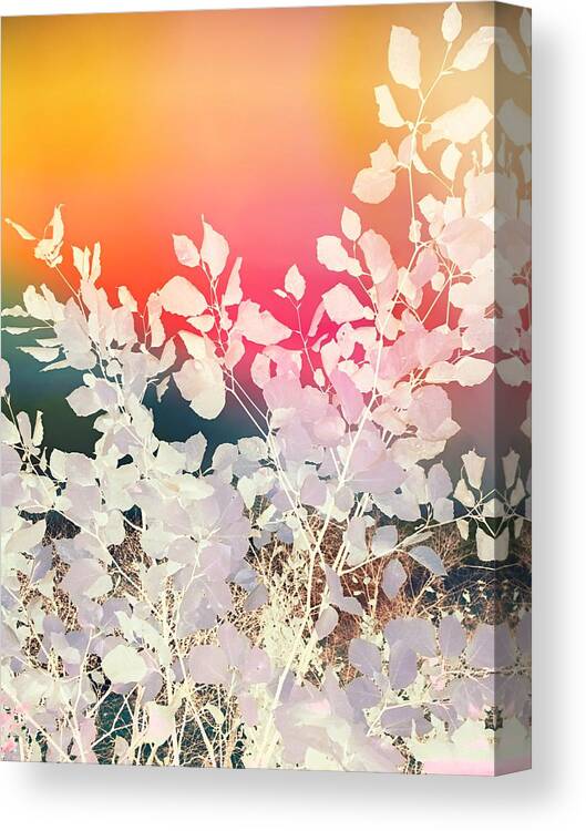 Colorful Canvas Print featuring the mixed media Rainbow sky leafy abstract by Itsonlythemoon
