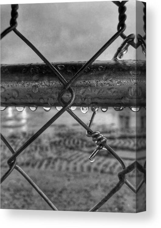 Landscape Canvas Print featuring the photograph Raindrops on Fence in Black and White by Michael Dean Shelton