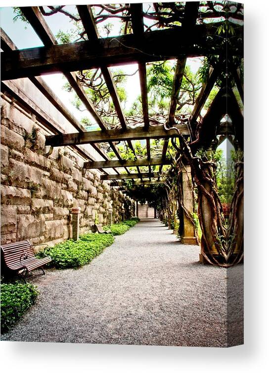 Path Canvas Print featuring the photograph Rest Then Walk On by Allen Nice-Webb