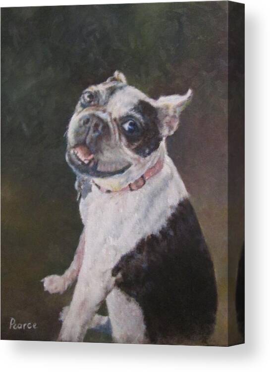 Boston Terrier Canvas Print featuring the painting Roxy by Edward Pearce