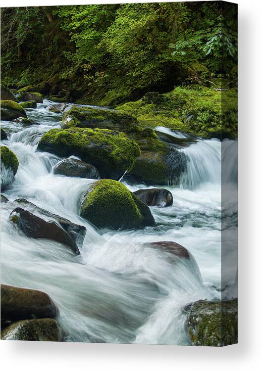Forests Canvas Print featuring the photograph Salmon River Rapids by Steven Clark
