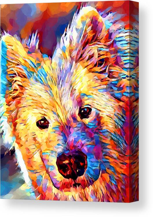Dog Canvas Print featuring the painting Samoyed by Chris Butler