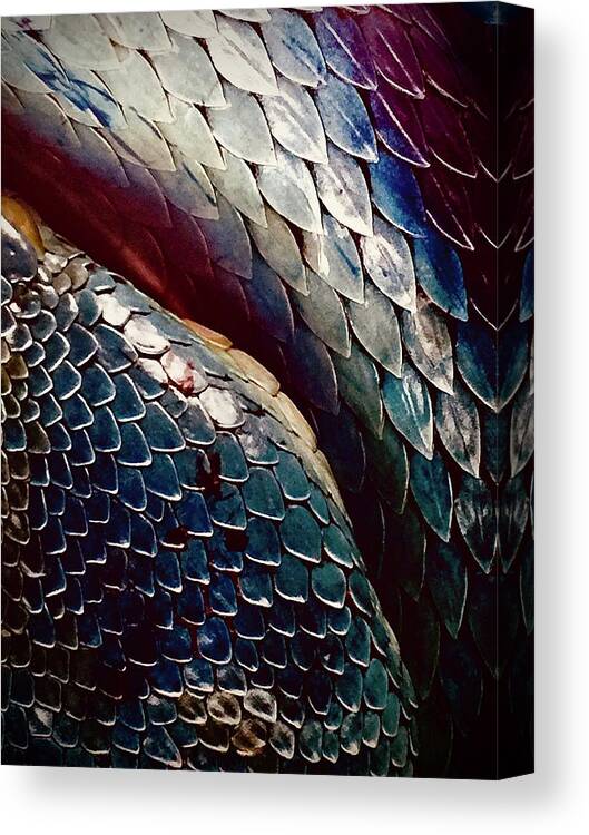 Reptile Canvas Print featuring the photograph Scales by Kerry Obrist