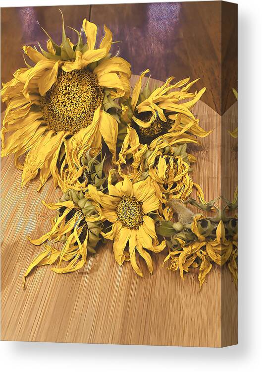 Sunflowers Canvas Print featuring the digital art Seasons End by Juliette Becker