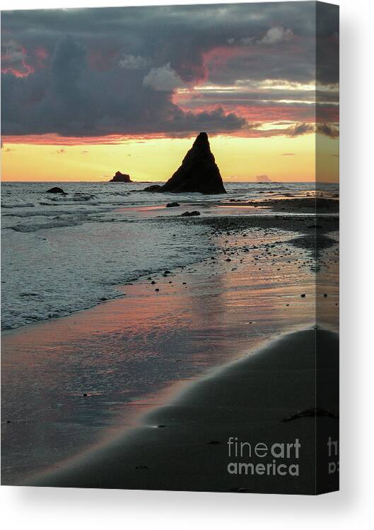 National Park Canvas Print featuring the photograph Seastack in Sunset on the Wilderness Coast by Nancy Gleason