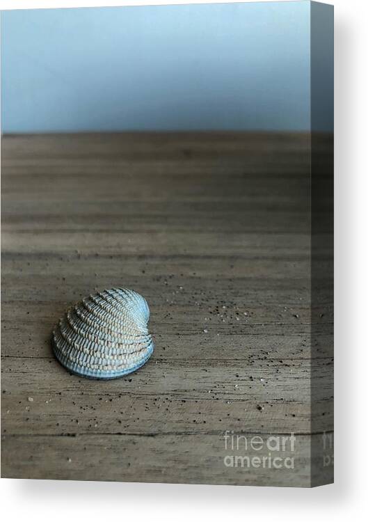 Seashells Canvas Print featuring the photograph Shades of Blue by Diana Rajala