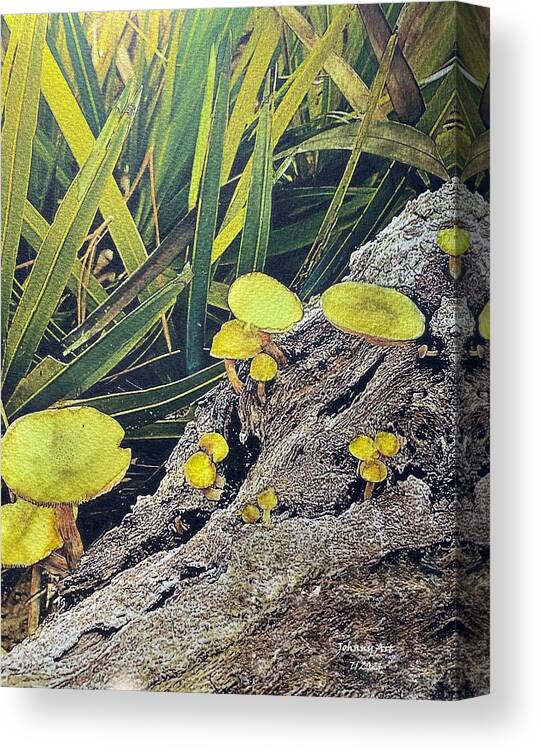 Princess Place Preserve Flagler County Florida Usa John Anderson Canvas Print featuring the mixed media Shrooms 3 by John Anderson